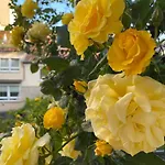 Appartement Feinzeit Cozy Rosy - 1-2 Schlafzimmer, 4-6 Gaeste, Parkplatz Bamberg