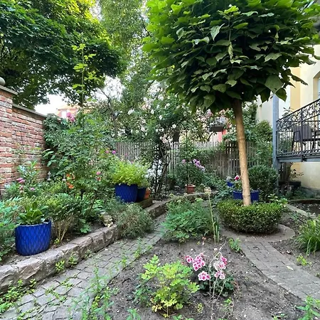 Apartamento Feinzeit Cozy Rosy - 1-2 Schlafzimmer, 4-6 Gaeste, Parkplatz