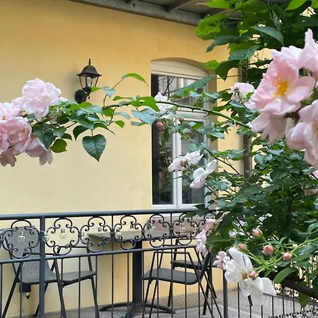 Cozy Rosy, Dein Feinzeit バンベルク